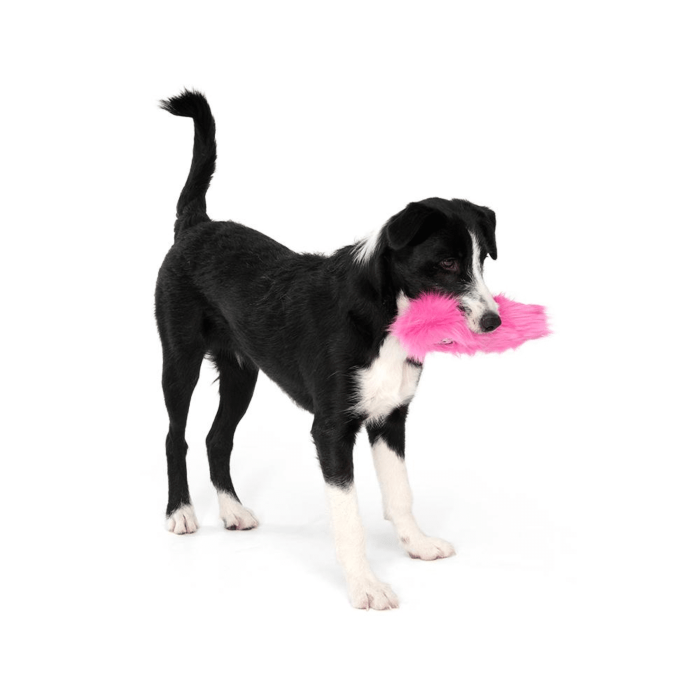 West Paw - Rowdies Cluster Durable Plush Toy