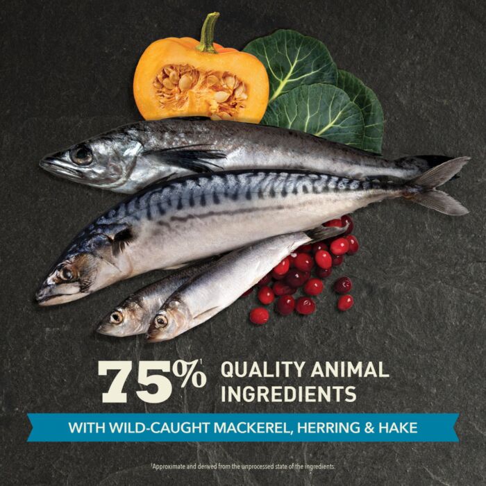 Acana Cat Food - Regionals Grain Free - Pacifica Herring