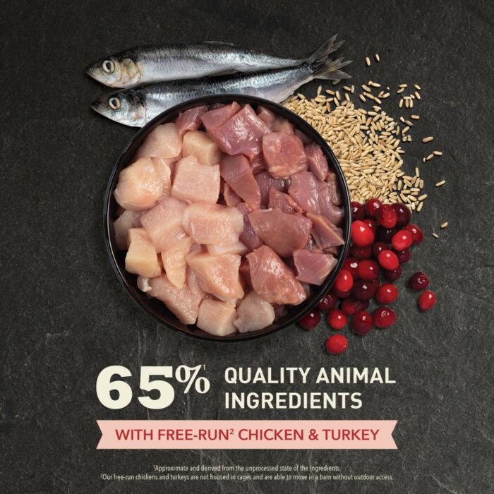 Acana Cat Food - Indoor Entree - Chicken & Herring