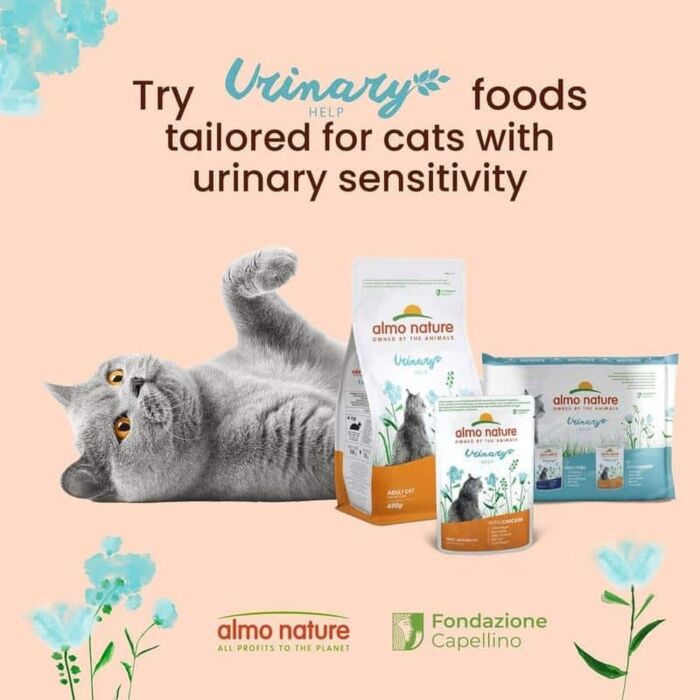 Almo Nature Cat Pouch - Urinary Help - Turkey 70g