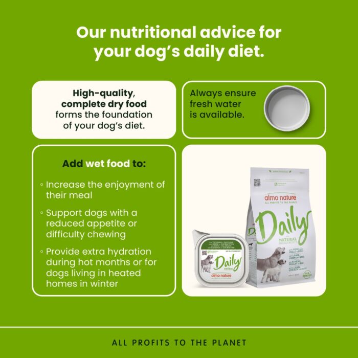 Almo Nature Dog Tray - Daily Natural - Turkey & Zucchini