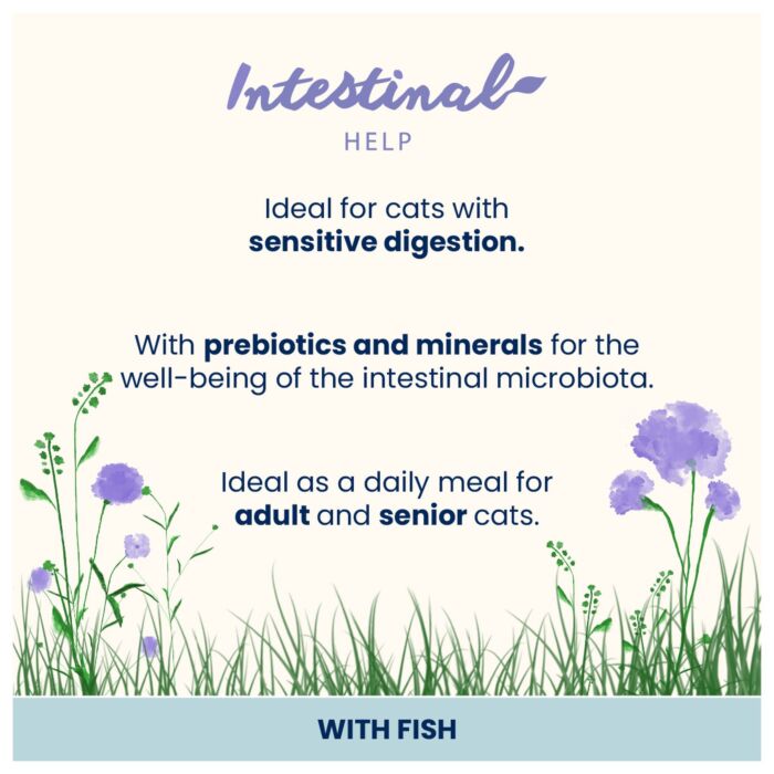 Almo Nature Cat Pouch - Intestinal Help - Fish 70g