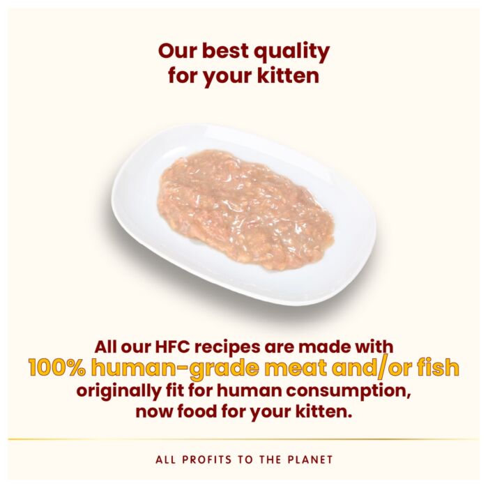 Almo Nature Kitten Can - HFC Human Grade - Salmon & Tuna 70g