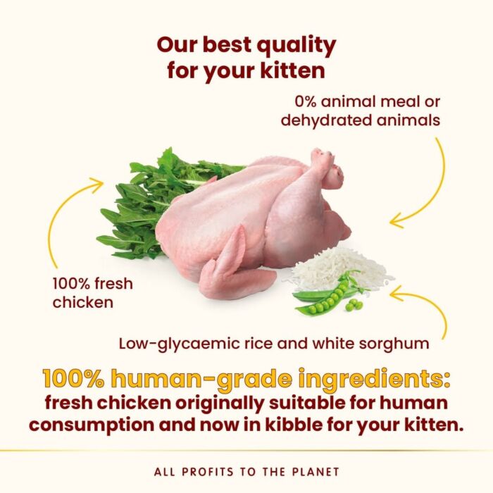 Almo Nature HFC 幼貓糧 - 新鮮雞肉 1.2kg