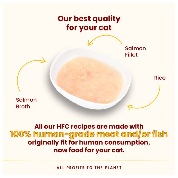 Almo Nature HFC 貓濕糧 - 水潤護理鮮湯包 - 三文魚湯+三文魚肉配方 50g