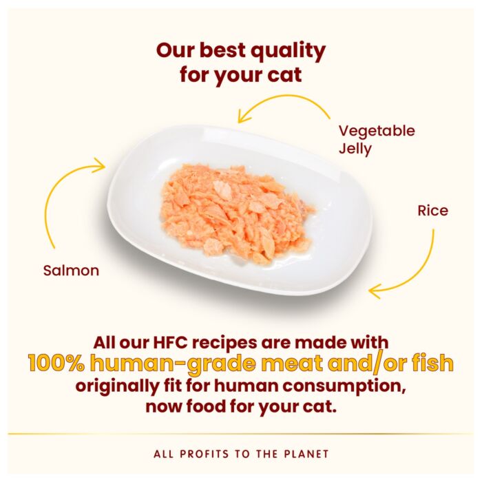 Almo Nature Cat Can - HFC Human Grade - Salmon in Jelly 70g