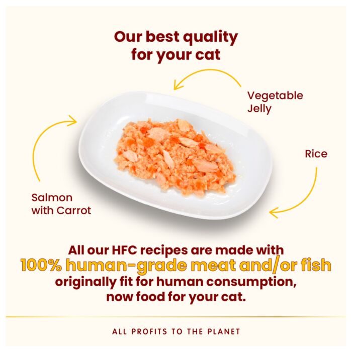 Almo Nature Cat Can - HFC Human Grade - Salmon & Carrot in Jelly 70g