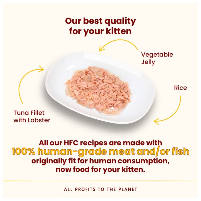 Almo Nature Jelly Cat Pouch - HFC Human Grade - Tuna Fillet & Lobster 55g