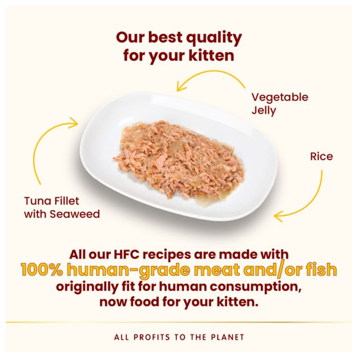 Almo Nature 貓濕糧 - HFC Jelly - 海藻吞拿魚柳 55g