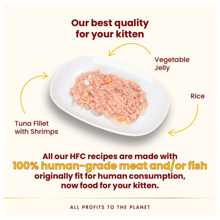 Almo Nature Jelly Cat Pouch - HFC Human Grade - Tuna Fillet & Shrimp 55g