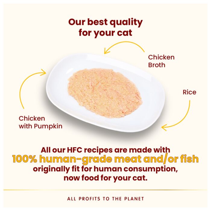 Almo Nature Cat Can - HFC Mousse - Chicken with Pumpkin 70g