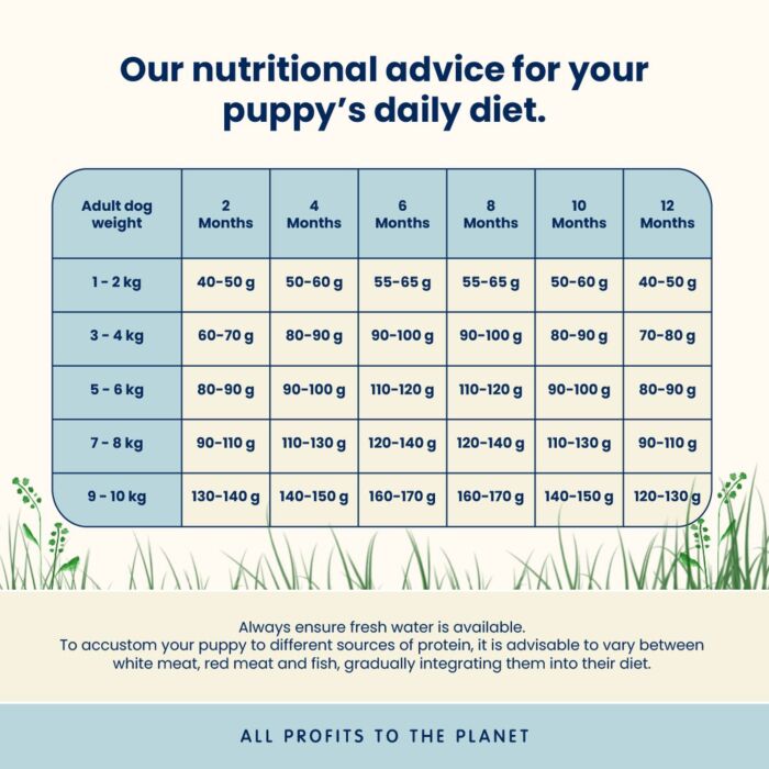 Almo Nature Dog Food - Holistic Small Breed Puppy - Chicken & Rice 2kg