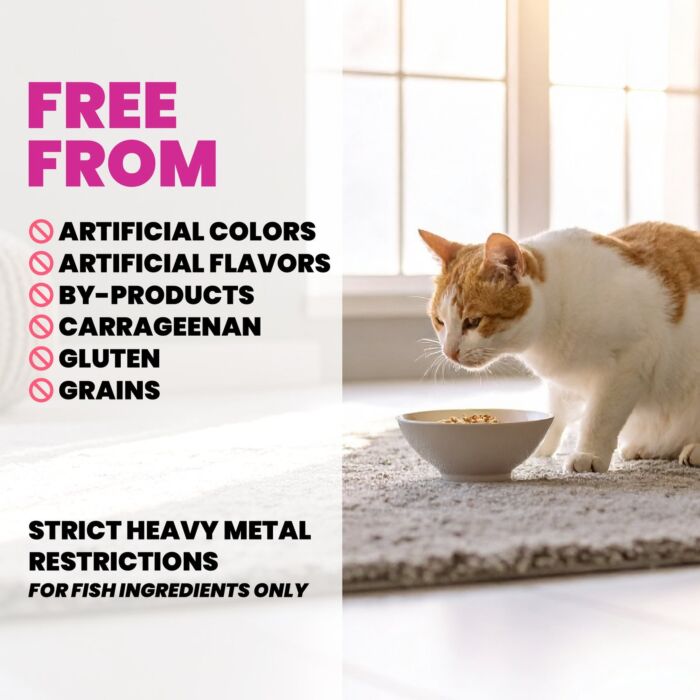 Almo Nature Cat Can - HQS Skin & Coat Support - Chicken Fillet in Gravy 6x50g