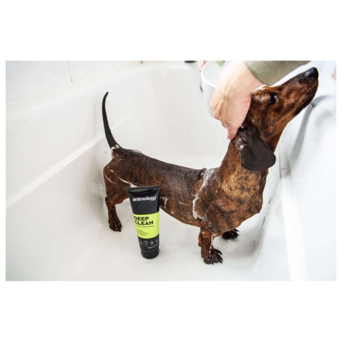 Animology 狗洗毛液 - Deep Clean 250ml