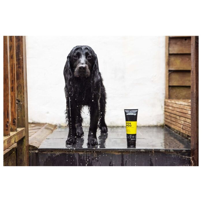 Animology 狗洗毛液 - Fox Poo 250ml