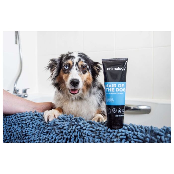 Animology 狗洗毛液 - Hair Of The Dog 250ml