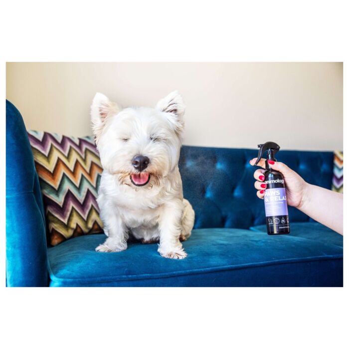 Animology 狗用噴霧 - Paws & Relax Aromatherapy 250ml