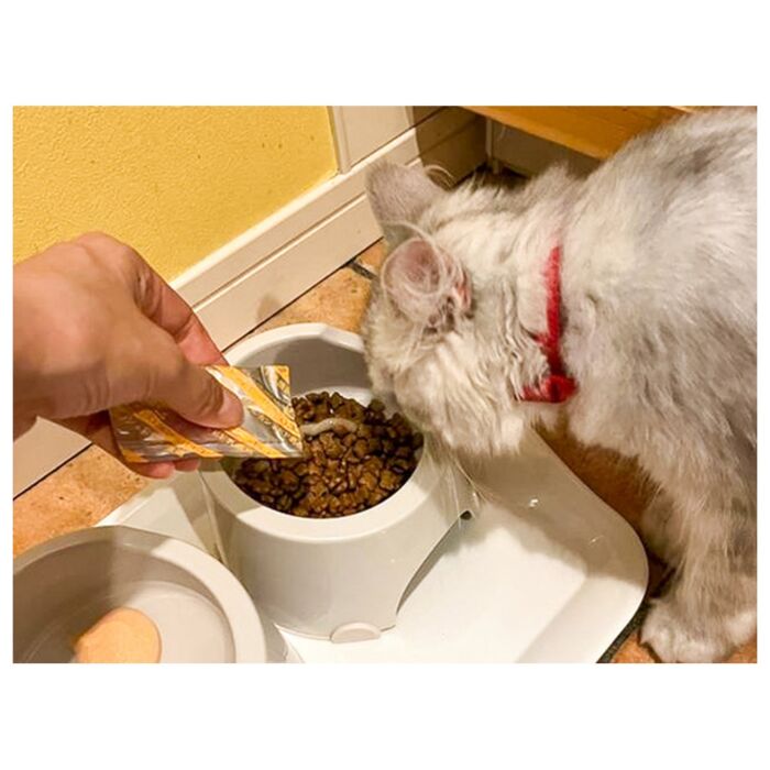 Aureo Beta-Glucan for Pets with EF Lactobacillus (6ml x 3 sachets)