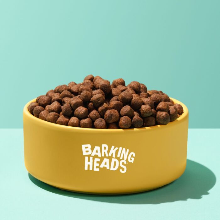 試食裝 Barking Heads 狗乾糧 - 無穀物健膚之選 - 三文魚