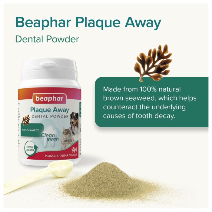 Beaphar Natural Plaque Away Dental Powder 80g