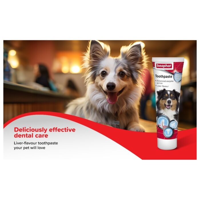 Beaphar Toothpaste for Cats and Dogs 100g