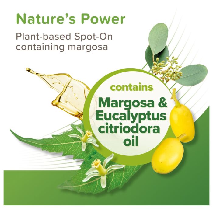 Beaphar VETO Pure Spot On with Margosa extract for Cats | 3 Pipettes
