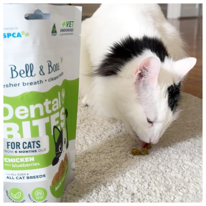 Bell & Bone Cat Dental Treat - Chicken with Blueberries 80g