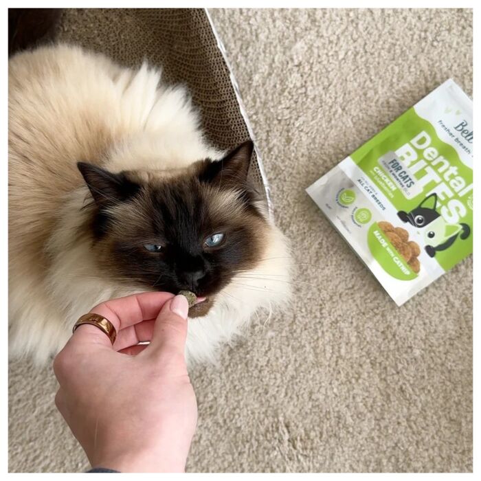 Bell & Bone Cat Dental Treat - Chicken with Blueberries 80g