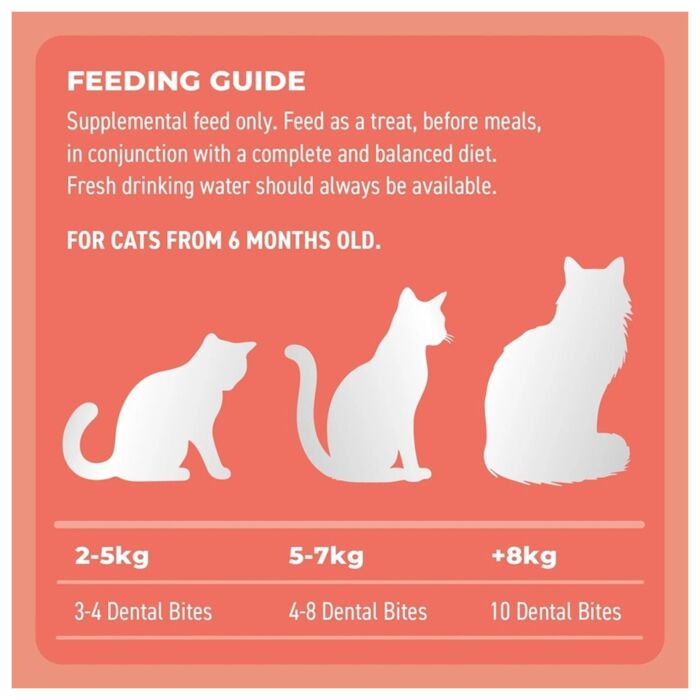 Bell & Bone Cat Dental Treat - Salmon with Charcoal 80g