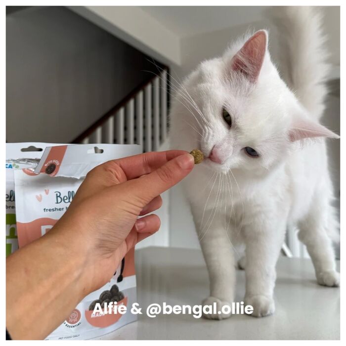 Bell & Bone Cat Dental Treat - Salmon with Charcoal 80g