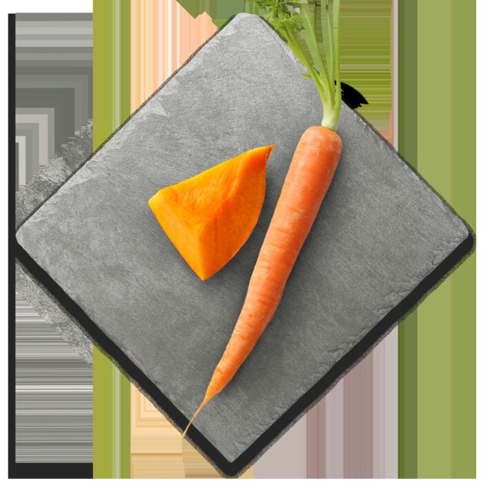 Canagan Petite Country Game Paté For Small Dogs 100g