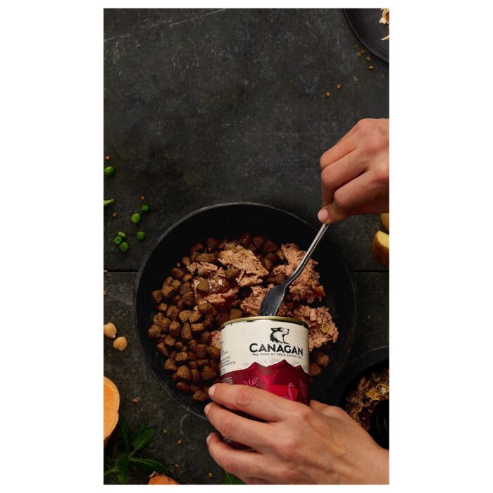 Canagan Dog Can - Grain Free British Beef 400g