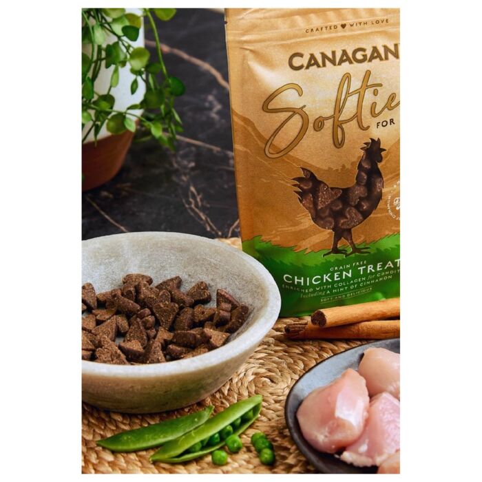 Canagan Cat Treats - Grain Free Salmon Softies 50g