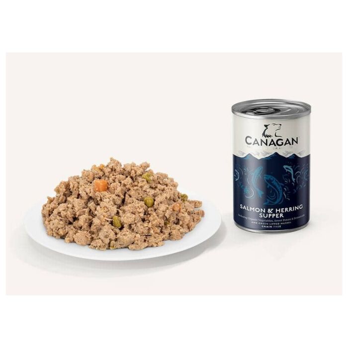 Canagan (原之選) 天然無穀物狗罐頭 - 三文魚及鯡魚配方 400g