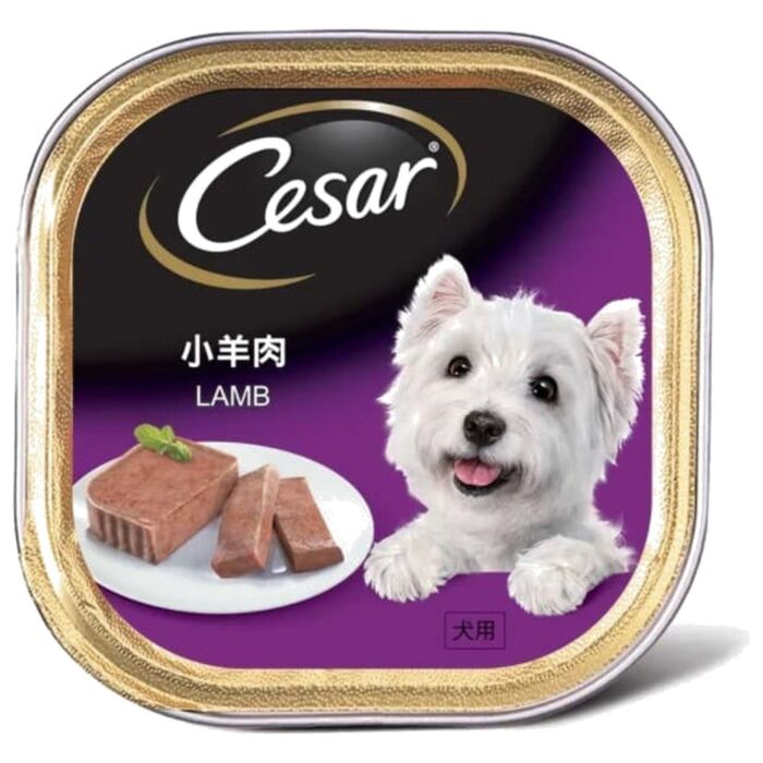 Cesar Dog Wet Food - Lamb 100g