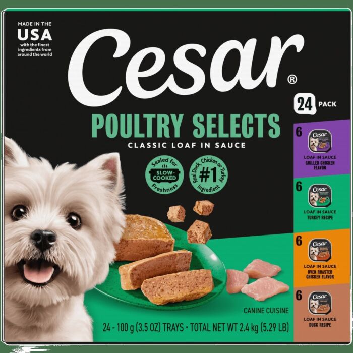 Cesar Dog Wet Food - Lamb 100g