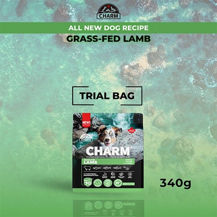 CHARM 貓乾糧 - 超能精華鮮羊肉配方