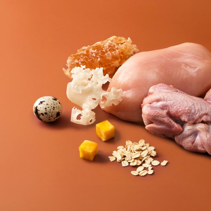 Chogong Cat Treat (Gold) - 5km Stick - Quail 4x14g