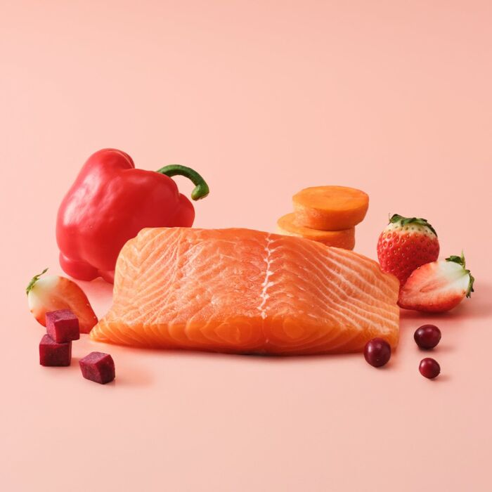 Cho and Kang Cat Treat (Red) - 5km Stick - Salmon 4x14g