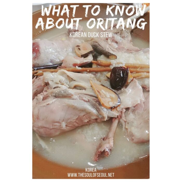 Cho and Kang Cat & Dog Treat - Oritang Duck & Tuna Soup 4x15g