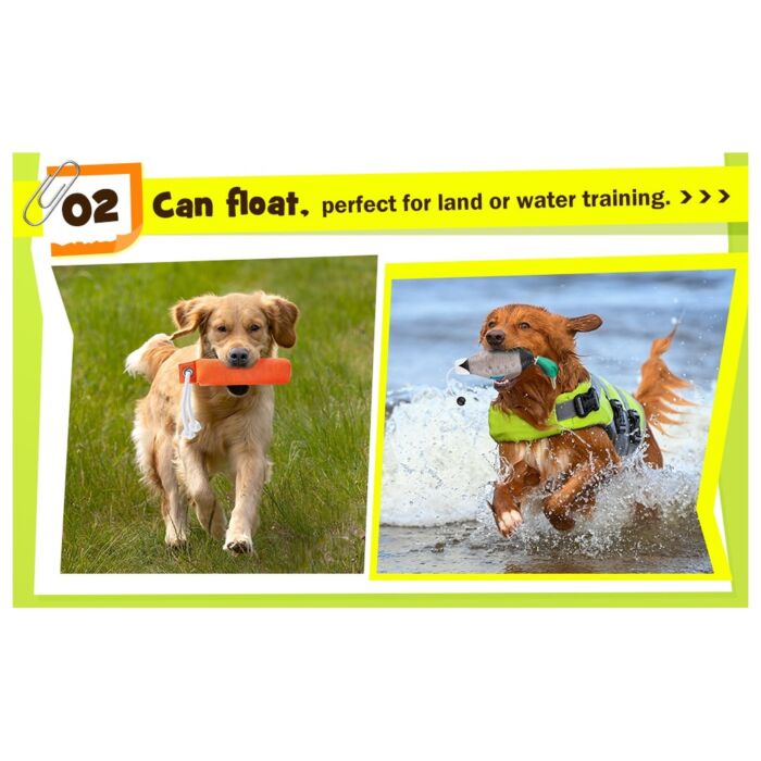 Company Of Animals CLIX Training Retriever Dog Training Toy - Blue
