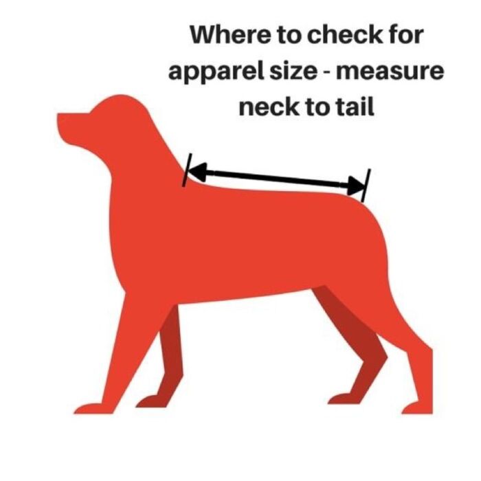 Company Of Animals Smart Collar Size 5 ( Neck 22-26 inches /56-66cm)