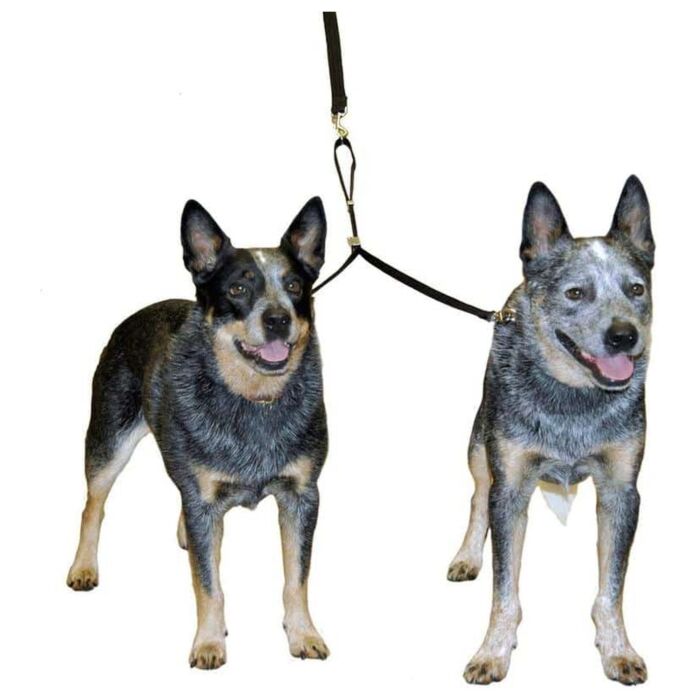Company of Animals Double Dog Coupler Lead