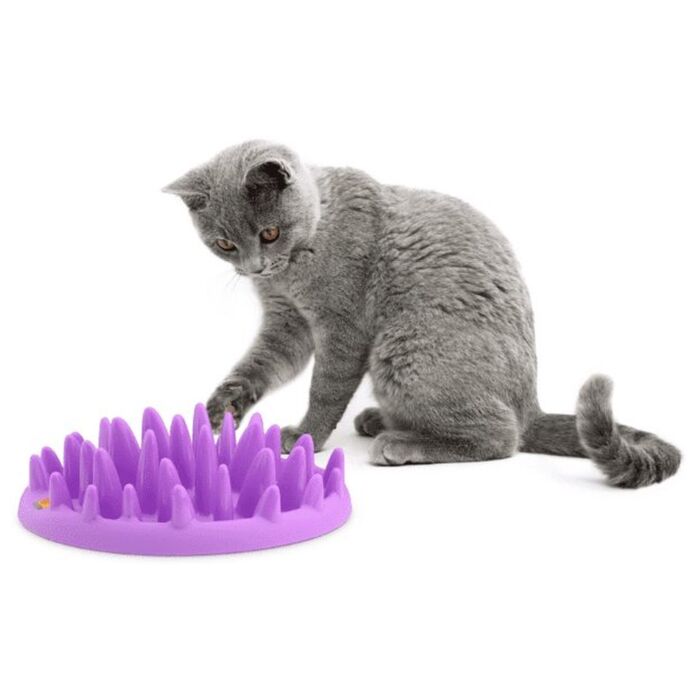 Company Of Animals - Catch Interactive Cat Slow Feeder - Purple