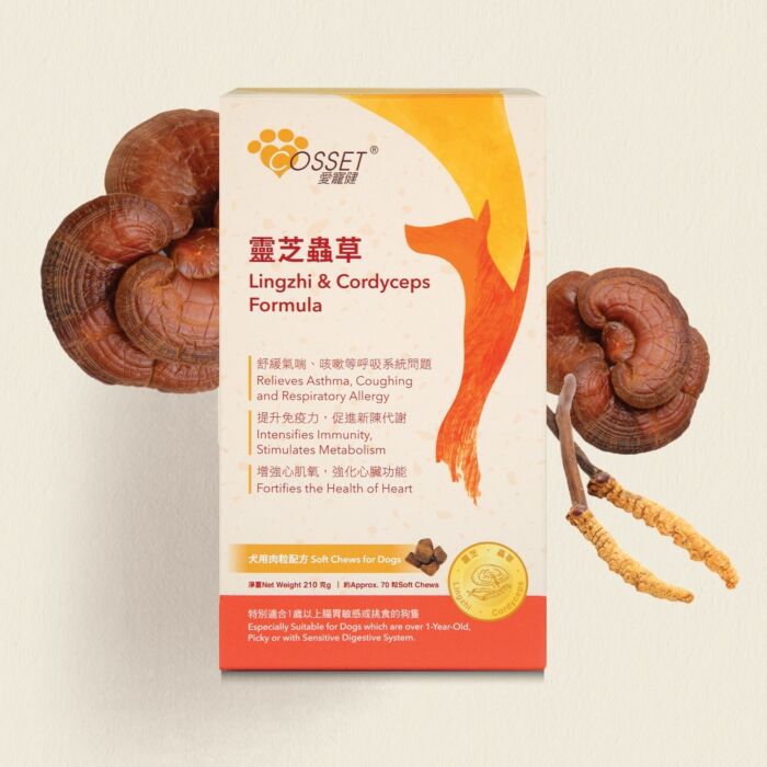 Cosset Lingzhi & Cordyceps Soft Chews for Dogs