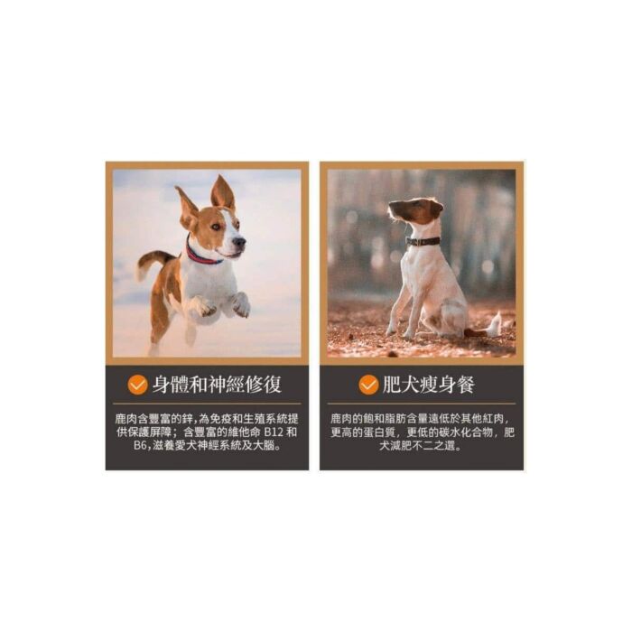dear deer 臻鹿 狗乾糧 - 低溫烘焙鹿肉及雞肉配方 200g