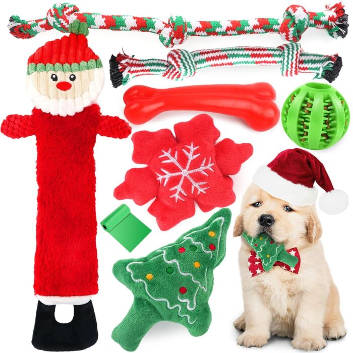 Doggie Goodie Dog Plush Toy With Squeaker - Santa