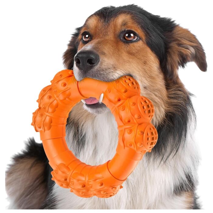 Doggie Goodie Dog Plush Toy With Squeaker - Diamond Ring