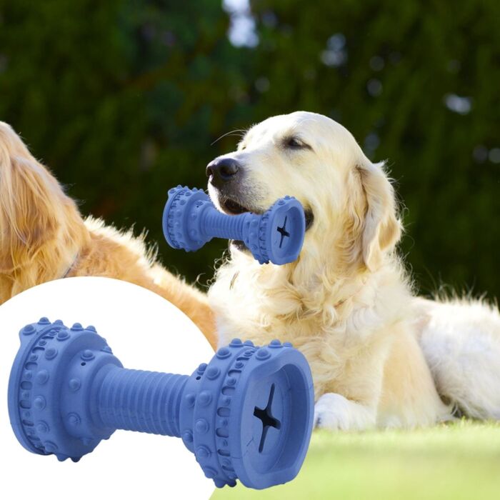 Doggie Goodie 狗狗毛絨發聲玩具 - 士把拿