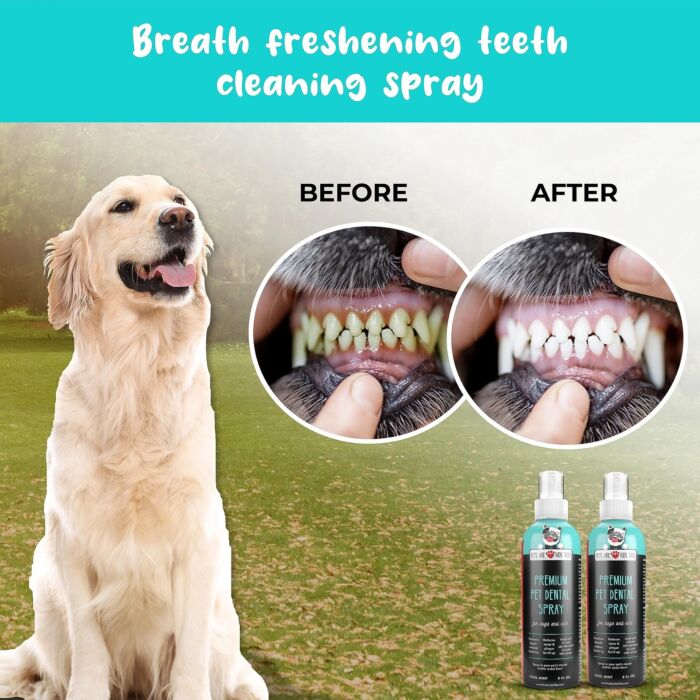DR.pet Complete Care Pet Dental Solution - Eliminates Bad Breath & Reduces Plaque for Dogs & Cats 236.6ml